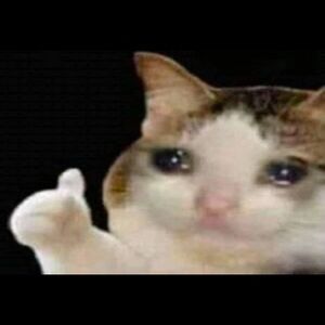 Meet your Posher, Filip